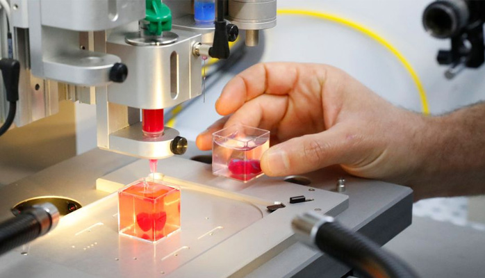 Israël : des scientifiques impriment un coeur en 3D à partir de tissu humain - Crédit photo : © lexpress.fr